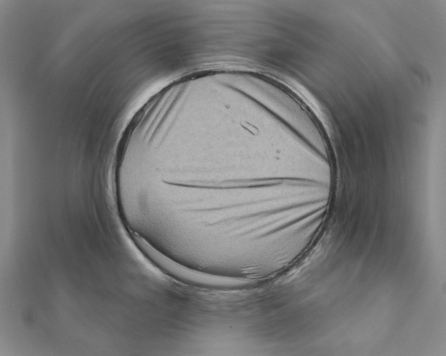 X0000111361293200908071146