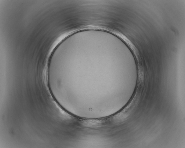 X0000111361294200908071146