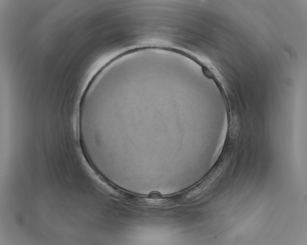 X0000111361295200908071146