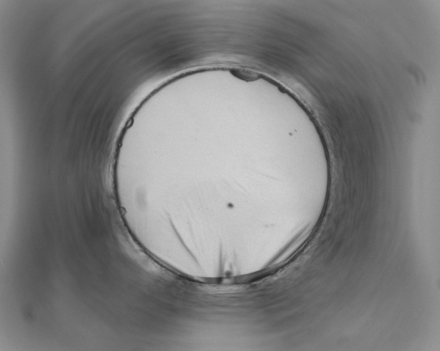 X0000111361296200908071145