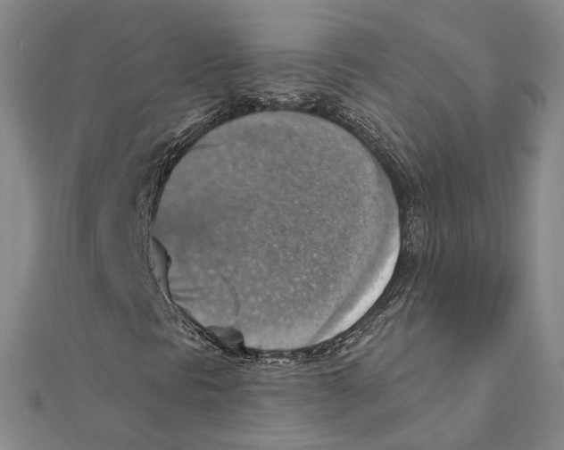 X0000111361297200908071145