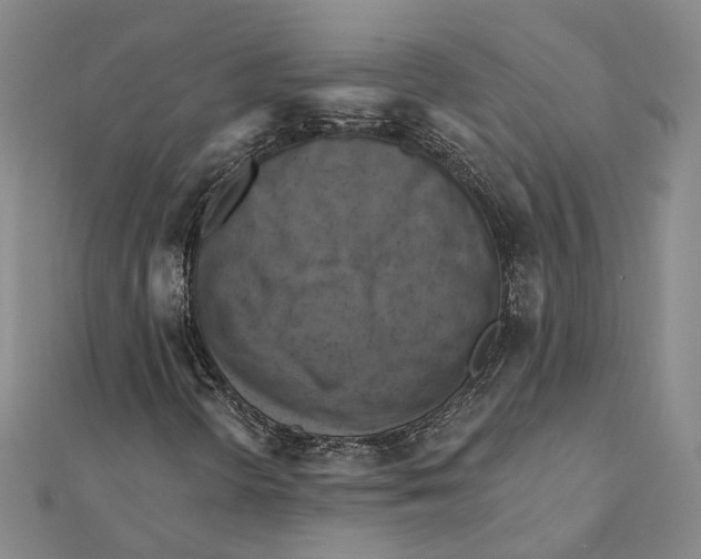 X0000111361298200908071145