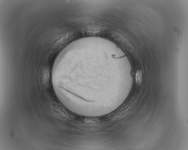 X0000111361299200908071145