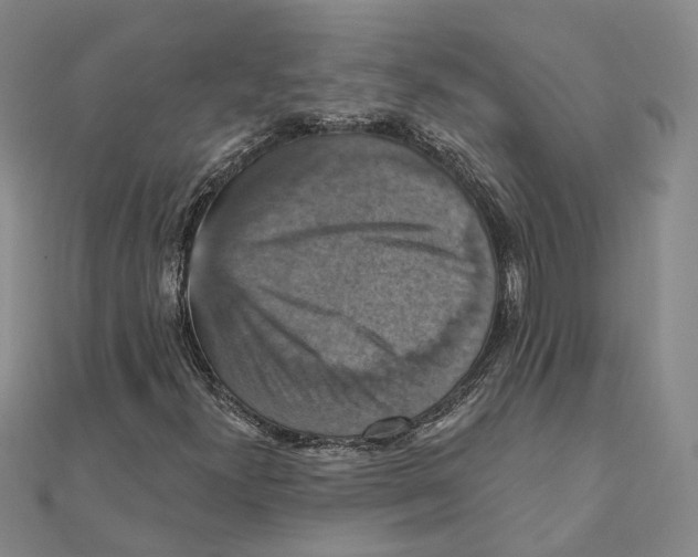 X0000111361300200908071145