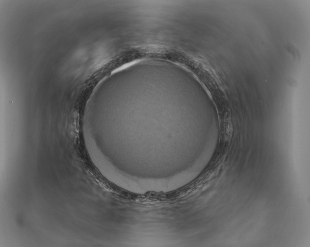 X0000111361301200908071145