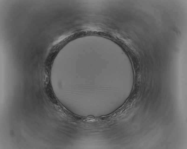 X0000111361303200908071145