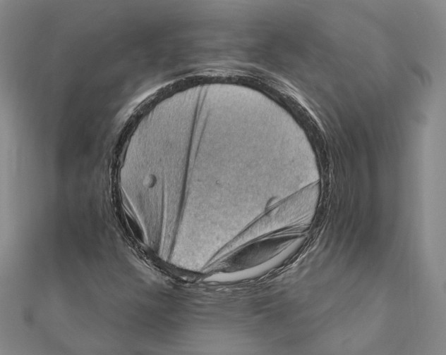 X0000111361304200908071145