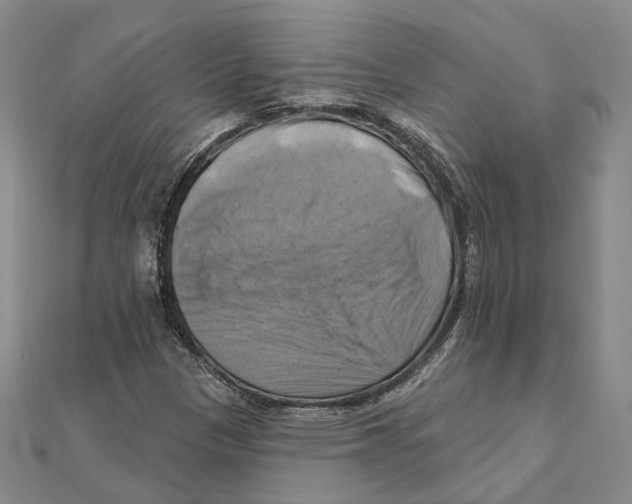 X0000111361305200908071145