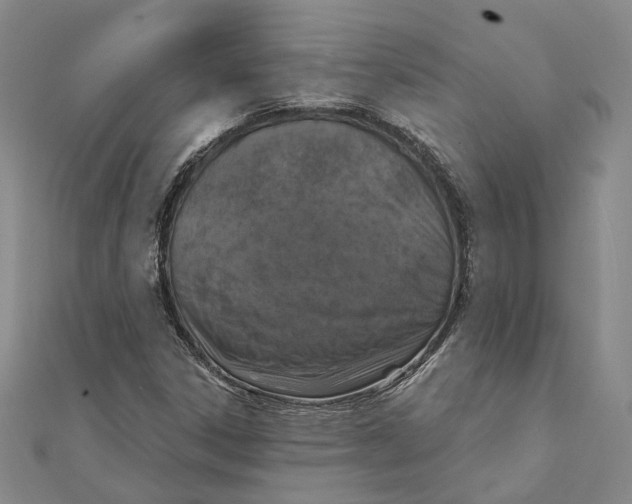 X0000111361306200908071145