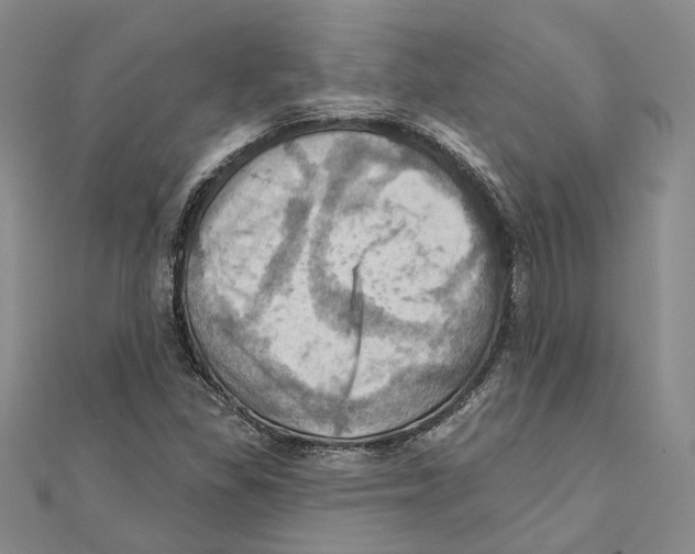 X0000111361309200908071145