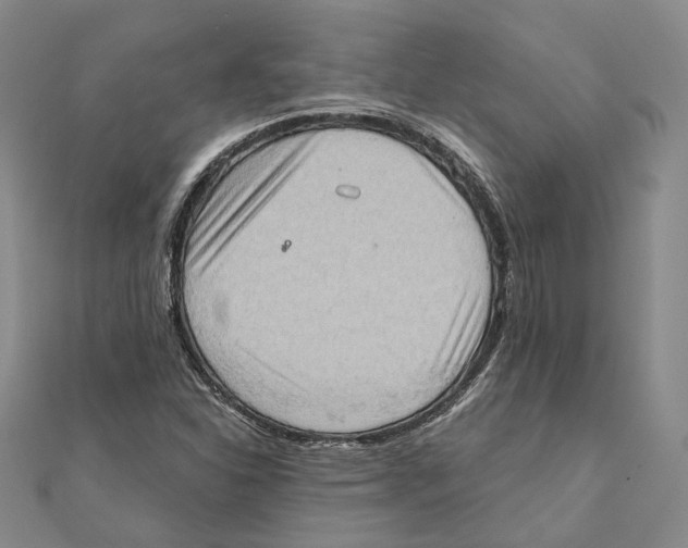 X0000111361310200908071145