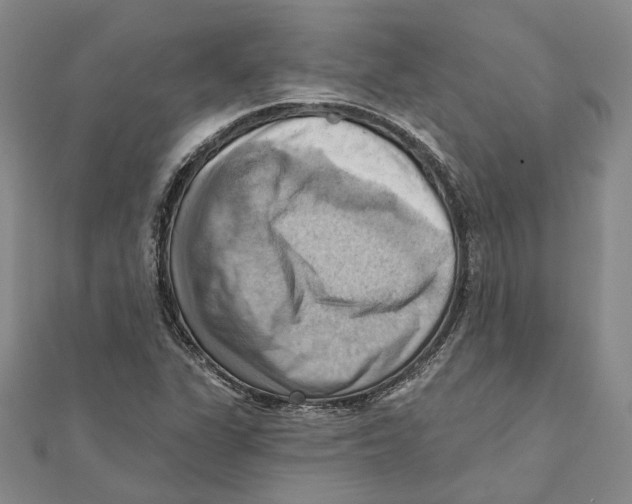 X0000111361311200908071145