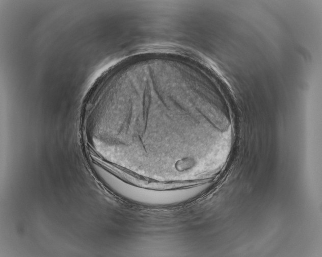 X0000111361312200908071145