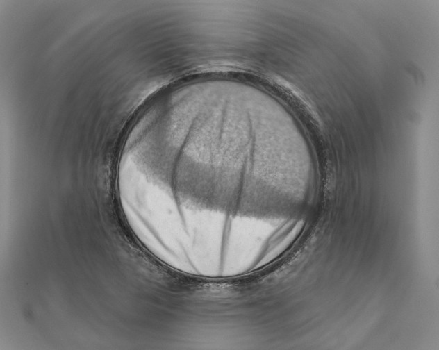 X0000111361313200908071145