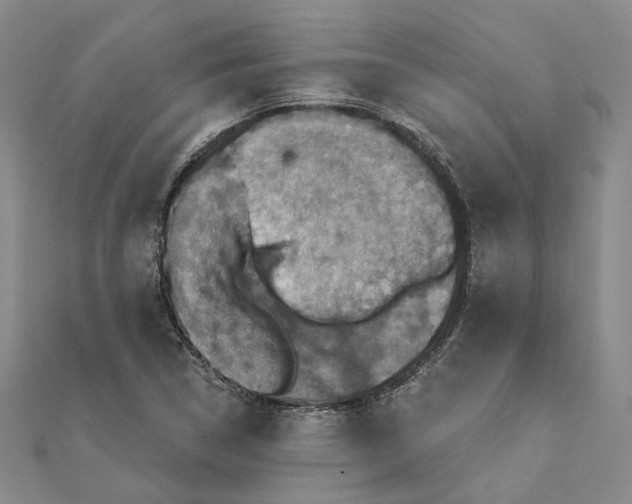 X0000111361314200908071145