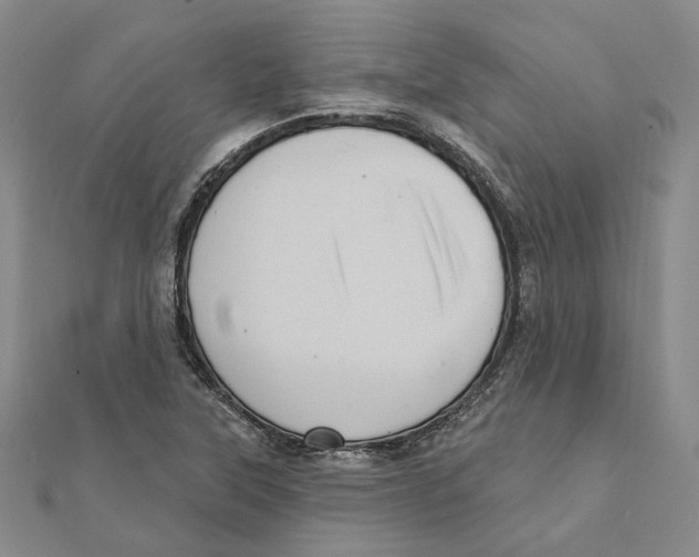 X0000111361315200908071145