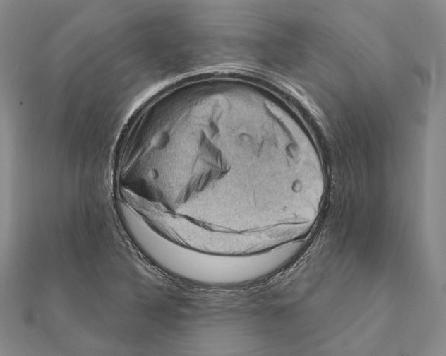 X0000111361316200908071145