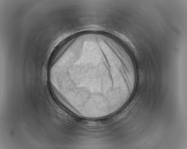 X0000111361318200908071145