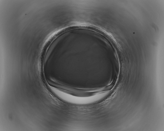 X0000111361319200908071145