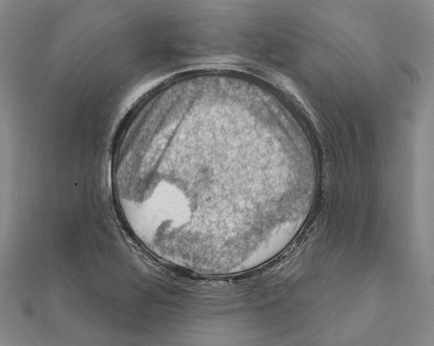 X0000111361320200908071145