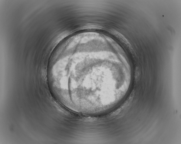 X0000111361321200908071145