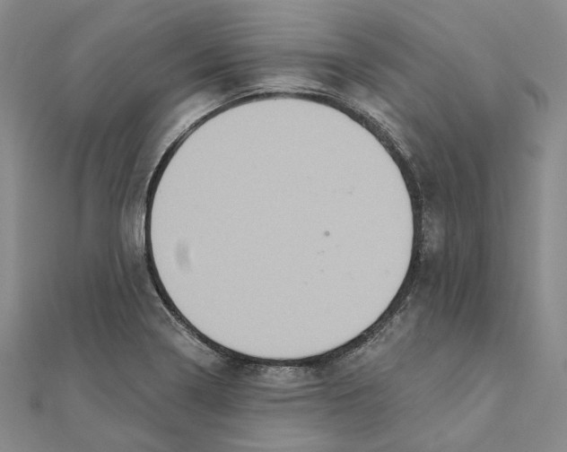 X0000111361322200908071145