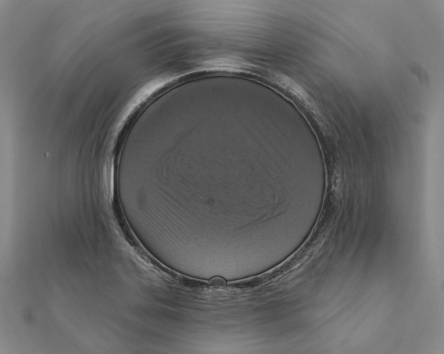 X0000111361323200908071145