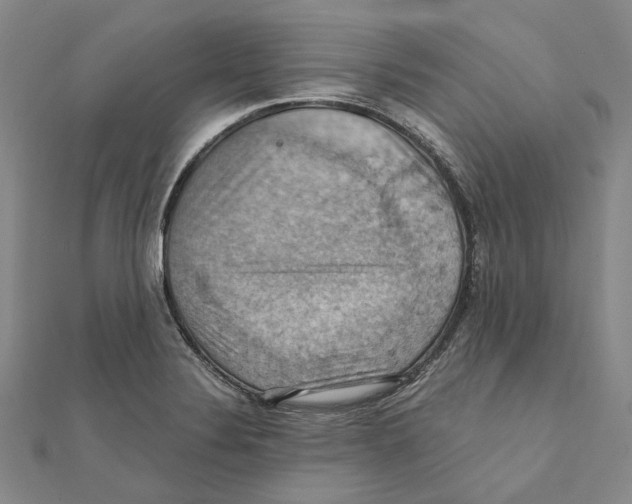 X0000111361324200908071145