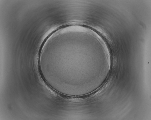 X0000111361325200908071145