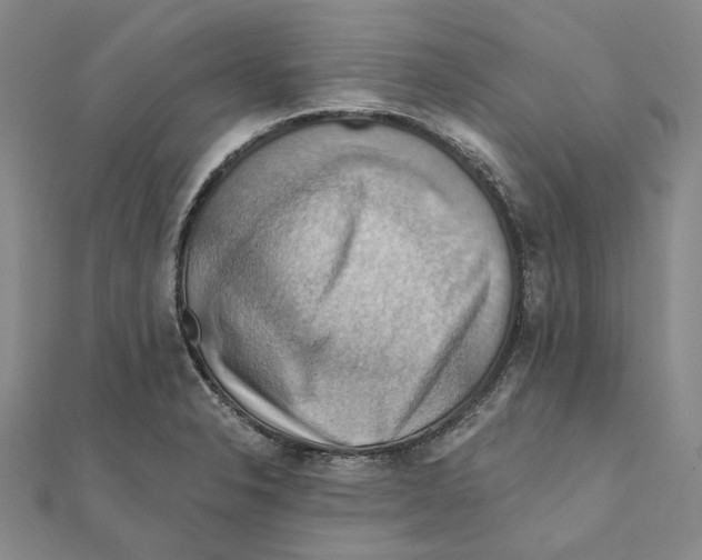 X0000111361326200908071145