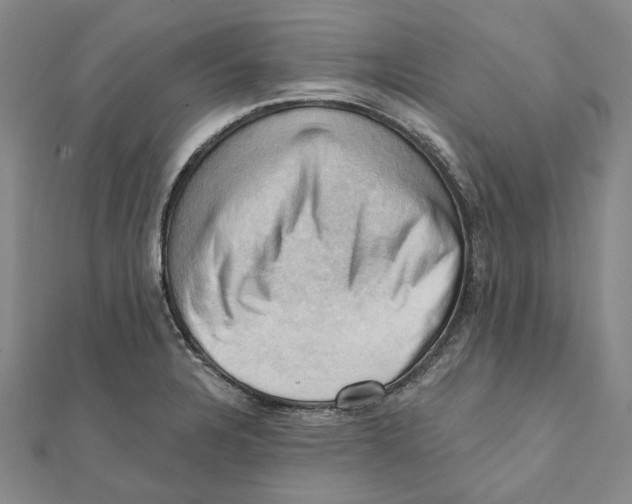 X0000111361328200908071145