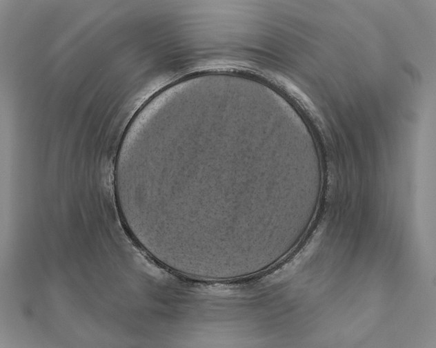 X0000111361329200908071145