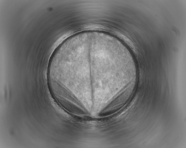 X0000111361330200908071145