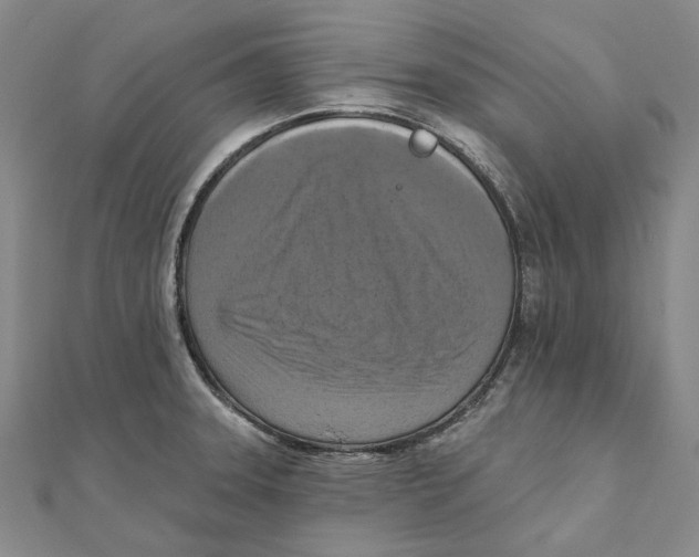 X0000111361331200908071145