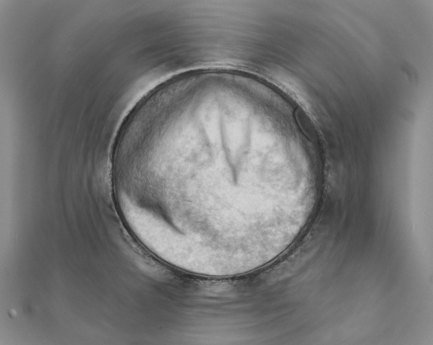 X0000111361332200908071145