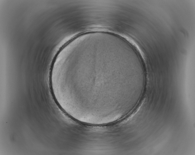 X0000111361333200908071145