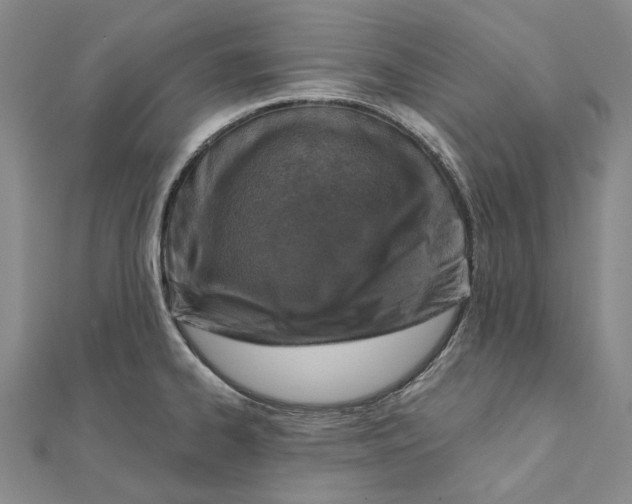 X0000111361334200908071145