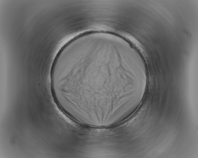 X0000111361335200908071145