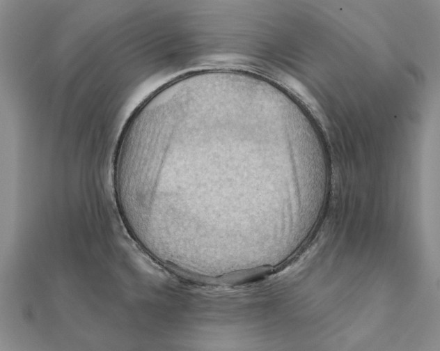 X0000111361336200908071145