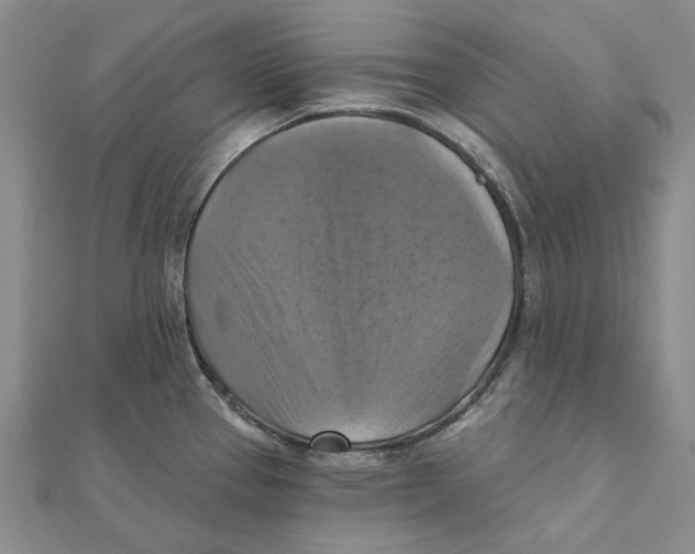 X0000111361337200908071145