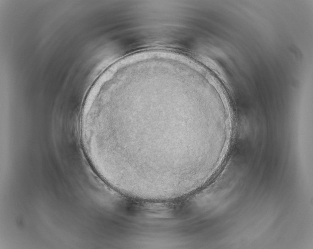 X0000111361338200908071145