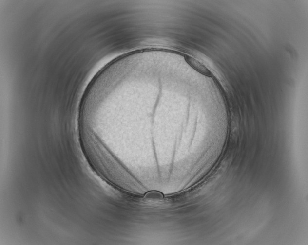 X0000111361339200908071145