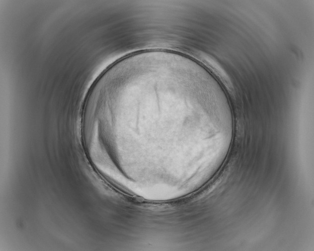 X0000111361340200908071145