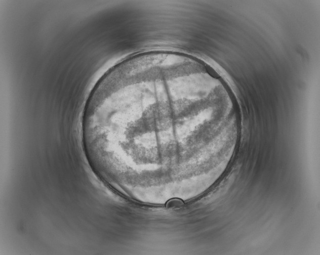 X0000111361341200908071145