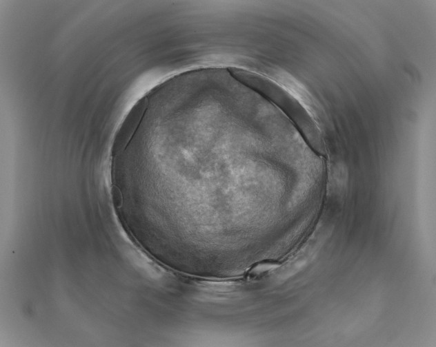 X0000111361342200908071145