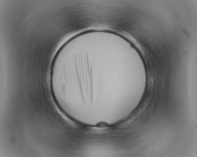 X0000111361343200908071145