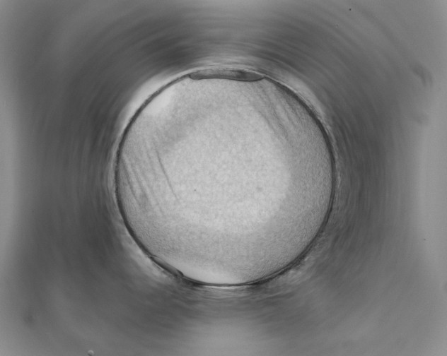 X0000111361344200908071145