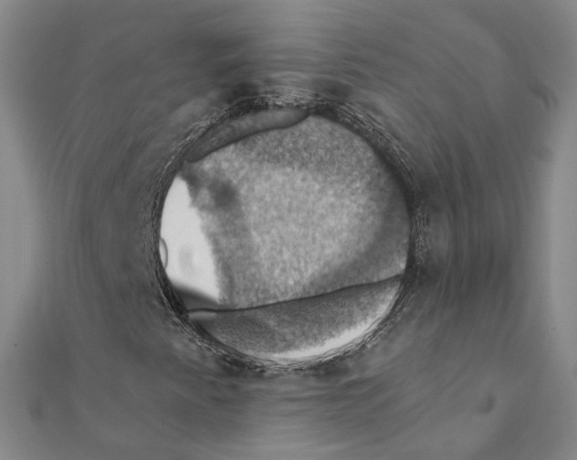 X0000111361345200908071145