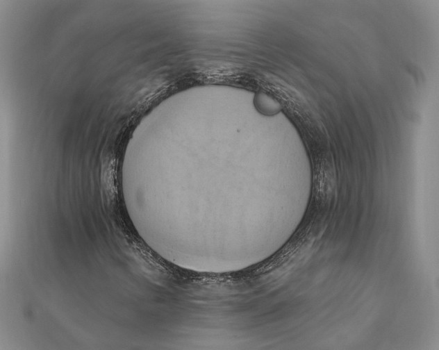 X0000111361346200908071145