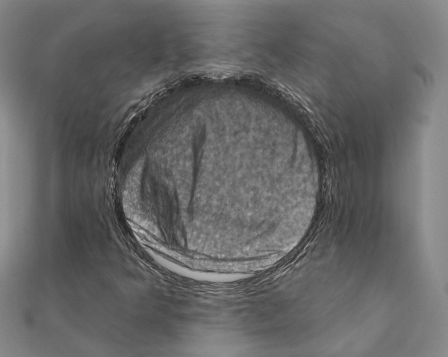 X0000111361349200908071145